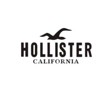 CAMISETAS HOLLISTER