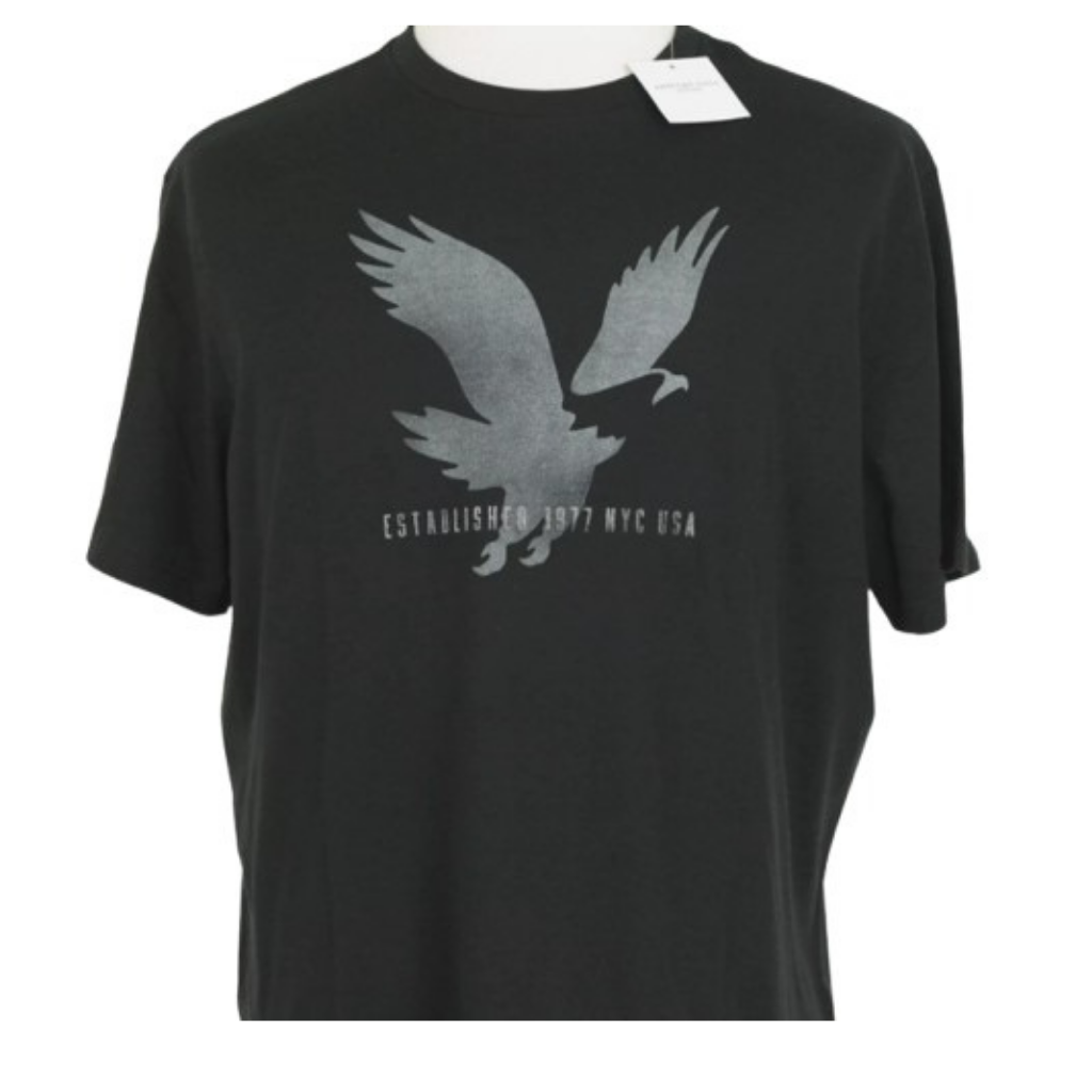 Camiseta Manga Corta Para Hombre American Eagle